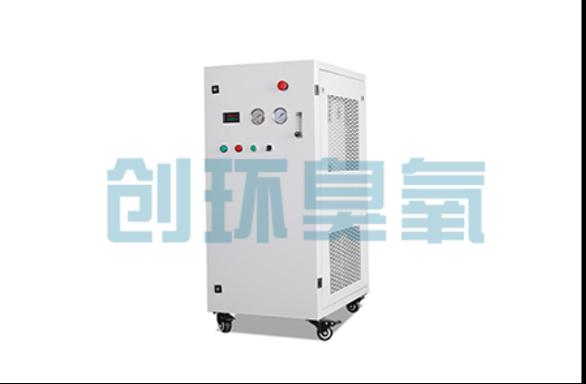 三沙工厂化养鲈必看：2026年臭氧发生器替代传统消毒的最新方案