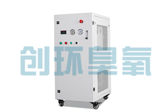 三沙石斑鱼养殖水质调控完整指南：臭氧发生器配置与操作步骤