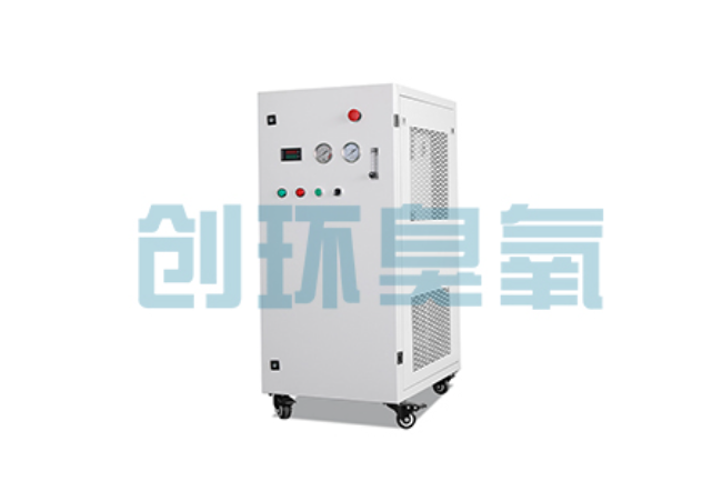 三沙比传统换水更高效？臭氧发生器在石斑鱼养殖中的水质净化原理解析